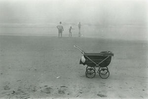 Gelatin silver print