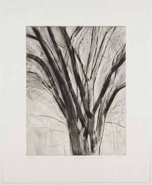 drypoint and aquatint on paper