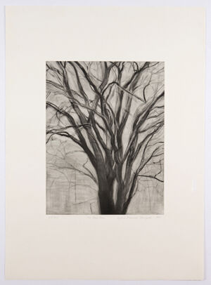 drypoint and aquatint on paper