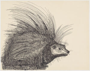 Ink on paper