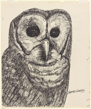 Ink on paper