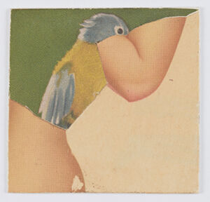 collage  on cardboard