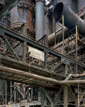 archival pigment print