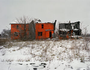 archival pigment print