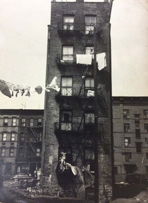 Vintage gelatin silver print on paper