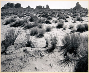 Gelatin silver print on paper
