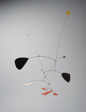 Painted metal and wire