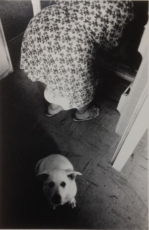 Silver gelatin print