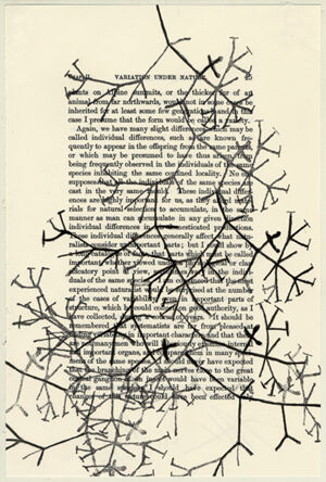 ink and watercolor on book page