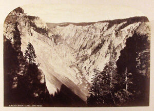 Albumen print from wet collodion negative