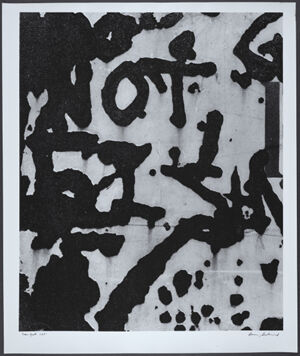 Gelatin silver print