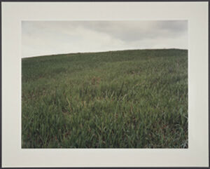 Chromogenic print 