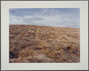 chromogenic print (Ed. 5/25)