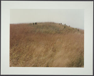chromogenic print  (Ed. 9/25)