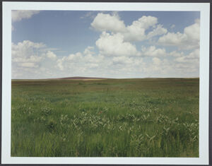 chromogenic print (Ed. 1/25)