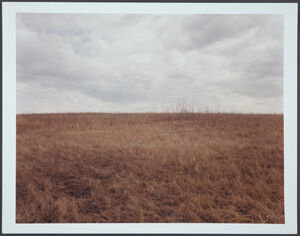 chromogenic print (Ed. 1/25)