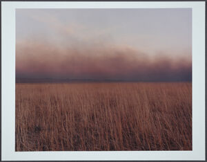 chromogenic print (Ed. 5/25)