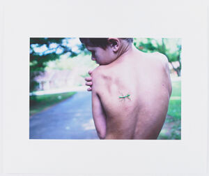 Archival pigment print