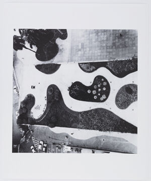 Archival Pigment Print