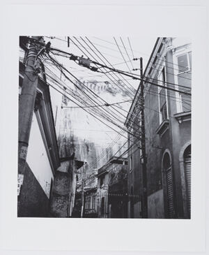 Archival Pigment Print