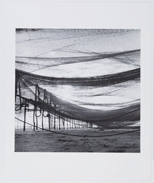 Archival Pigment Print