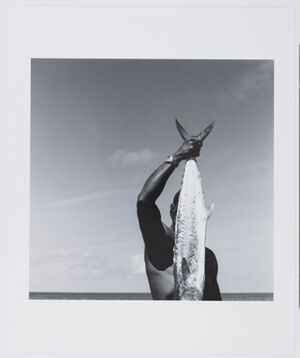 Archival Pigment Print