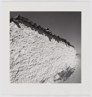 Gelatin silver print on sheet