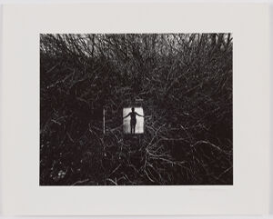 Gelatin silver print on sheet