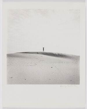 Gelatin silver print on sheet