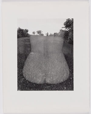 Gelatin silver print on sheet