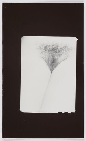 Gelatin silver print on sheet