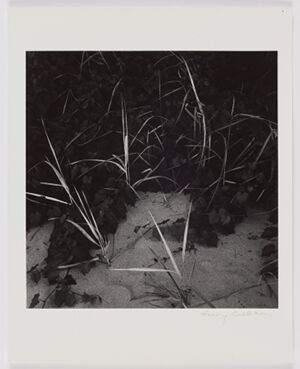 Gelatin silver print on sheet