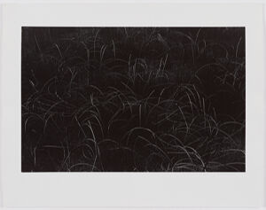 Gelatin silver print on sheet