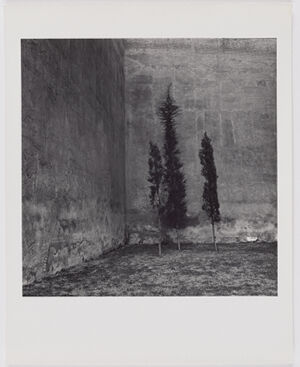 Gelatin silver print on sheet