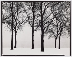 Gelatin silver print on sheet