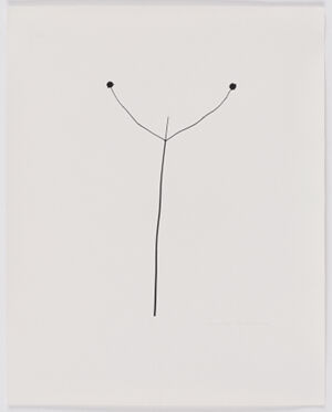 Gelatin silver print on sheet