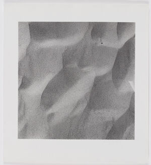 Gelatin silver print on sheet