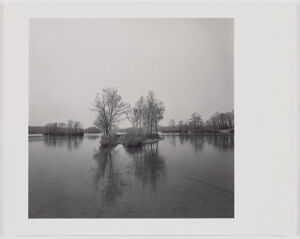 Gelatin silver print on sheet