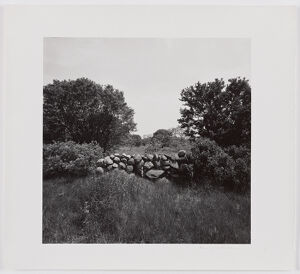 Gelatin silver print on sheet