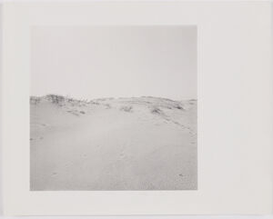 Gelatin silver print on sheet