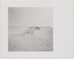 Gelatin silver print on sheet