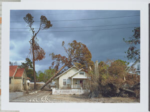 C-print mounted on Dibond 