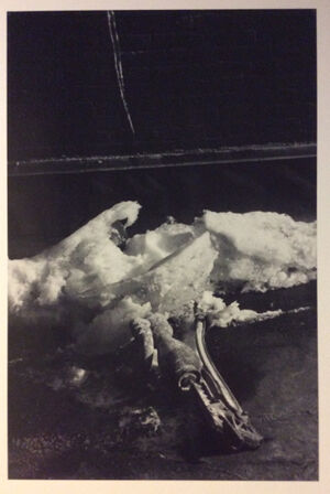 Gelatin silver print on paper