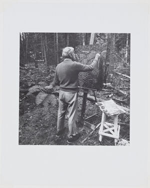 Gelatin silver print