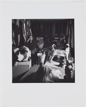 Gelatin silver print