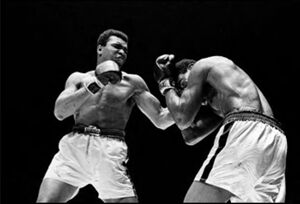 Archival Pigment Print