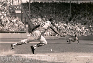 Archival Pigment Print