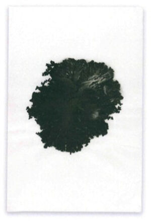 India ink and tea on Bhutan Mitsumata rice paper