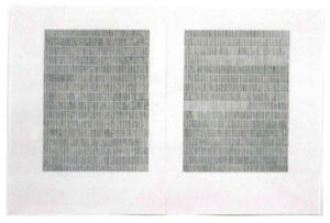 sumi ink, graphite, and colored pencil on paper, two sheets abutted at center