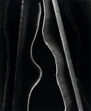 Gelatin silver print